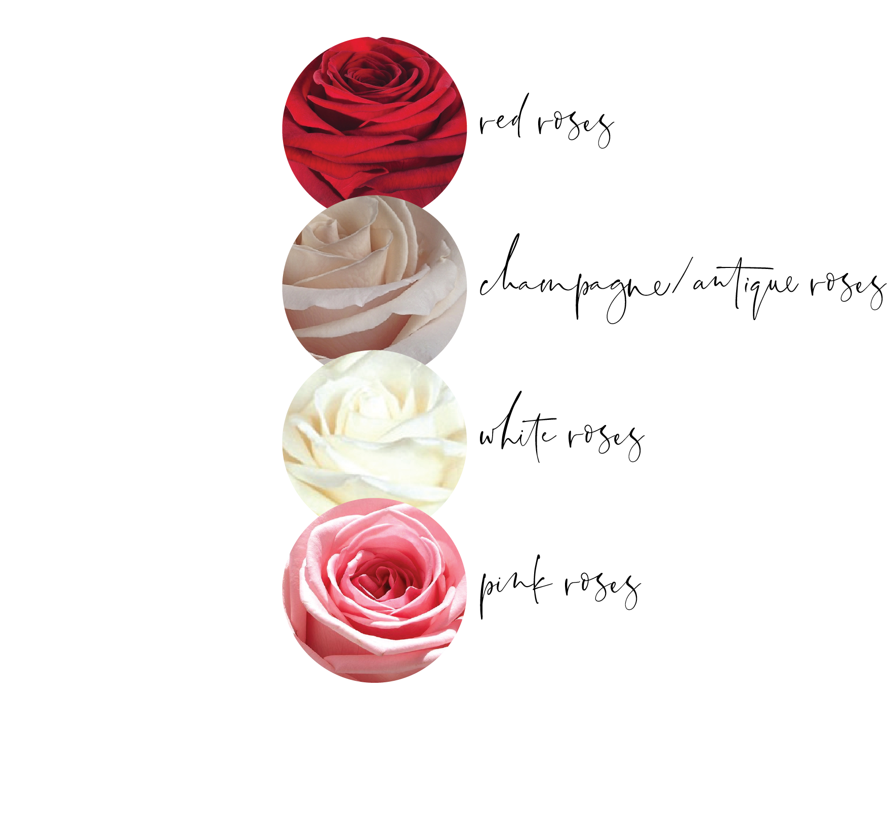 roses.png