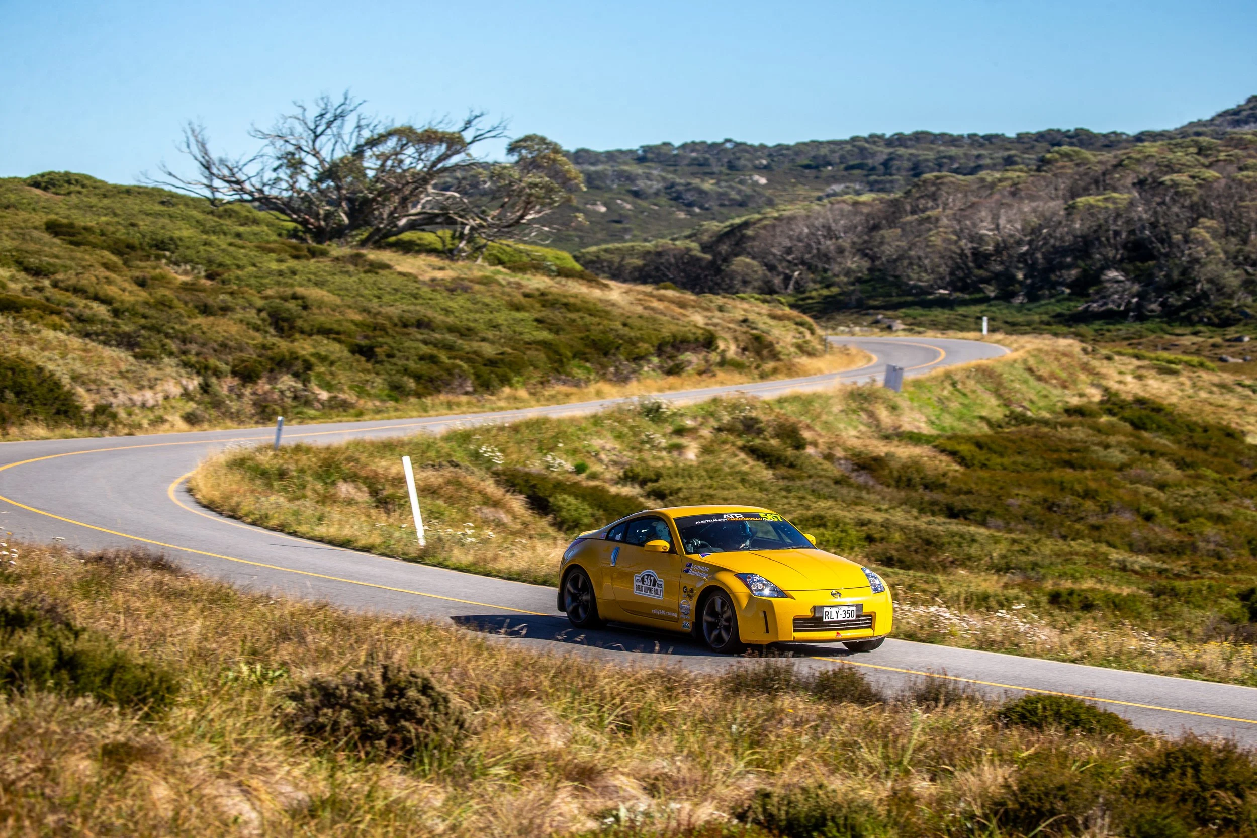 567 - Sunday SS-5.jpg