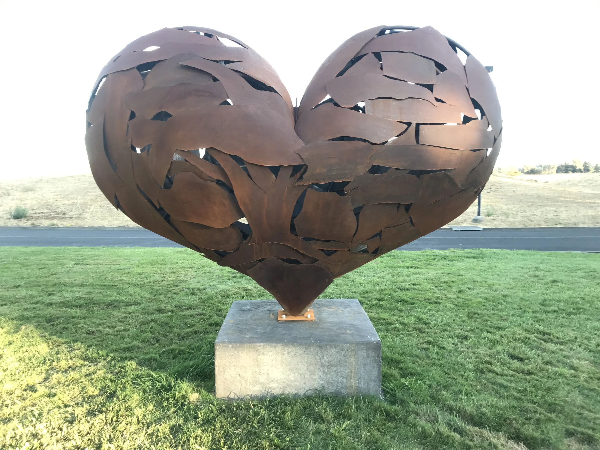 Heartfullness - SOMO