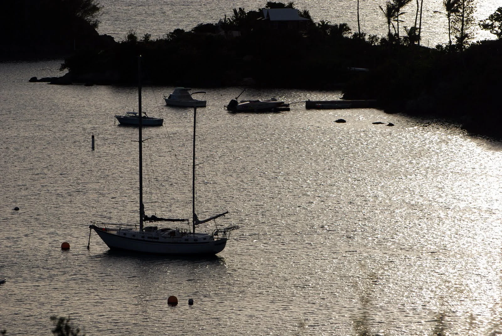 dsc_0017ed.jpg