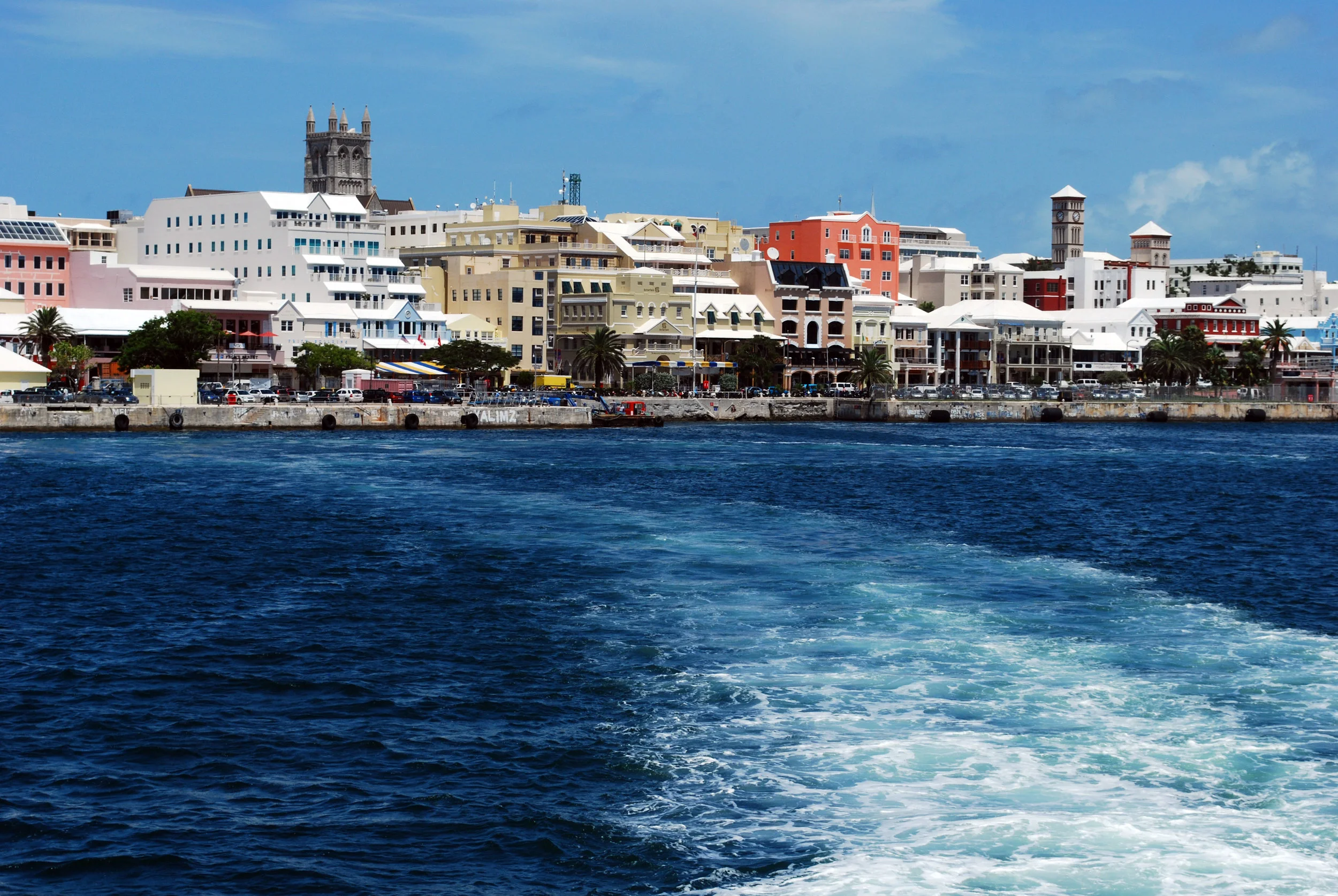 dsc_0107ed.jpg