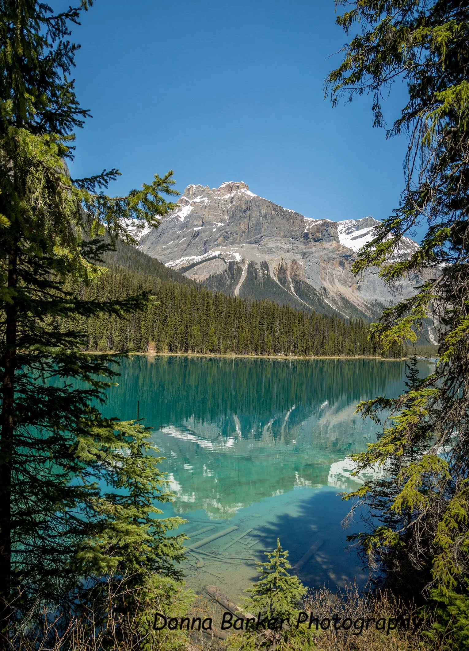 emerald lake 2015 1.jpg