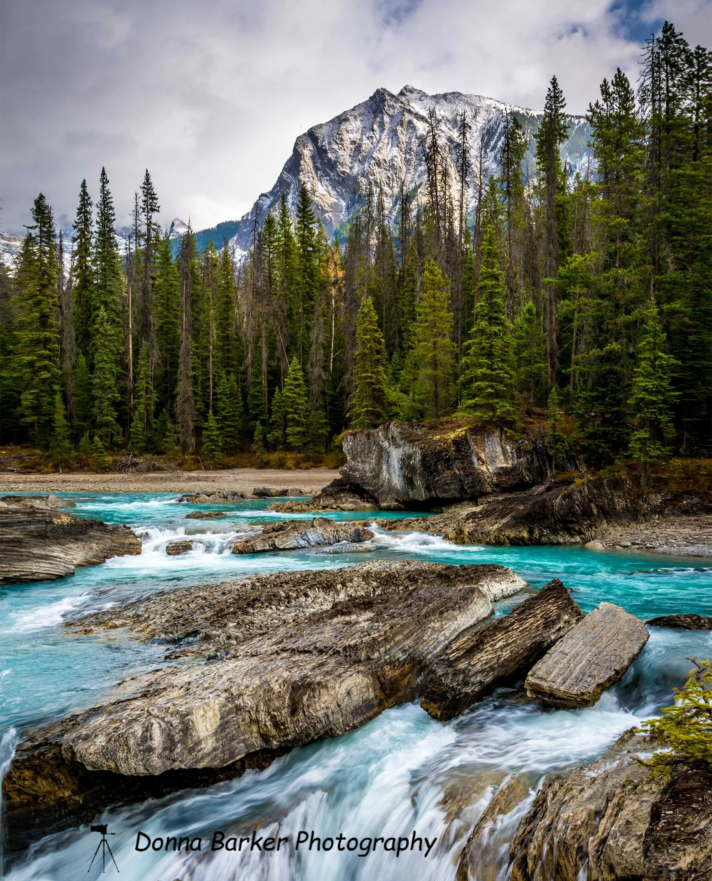 natural bridge 1.jpg
