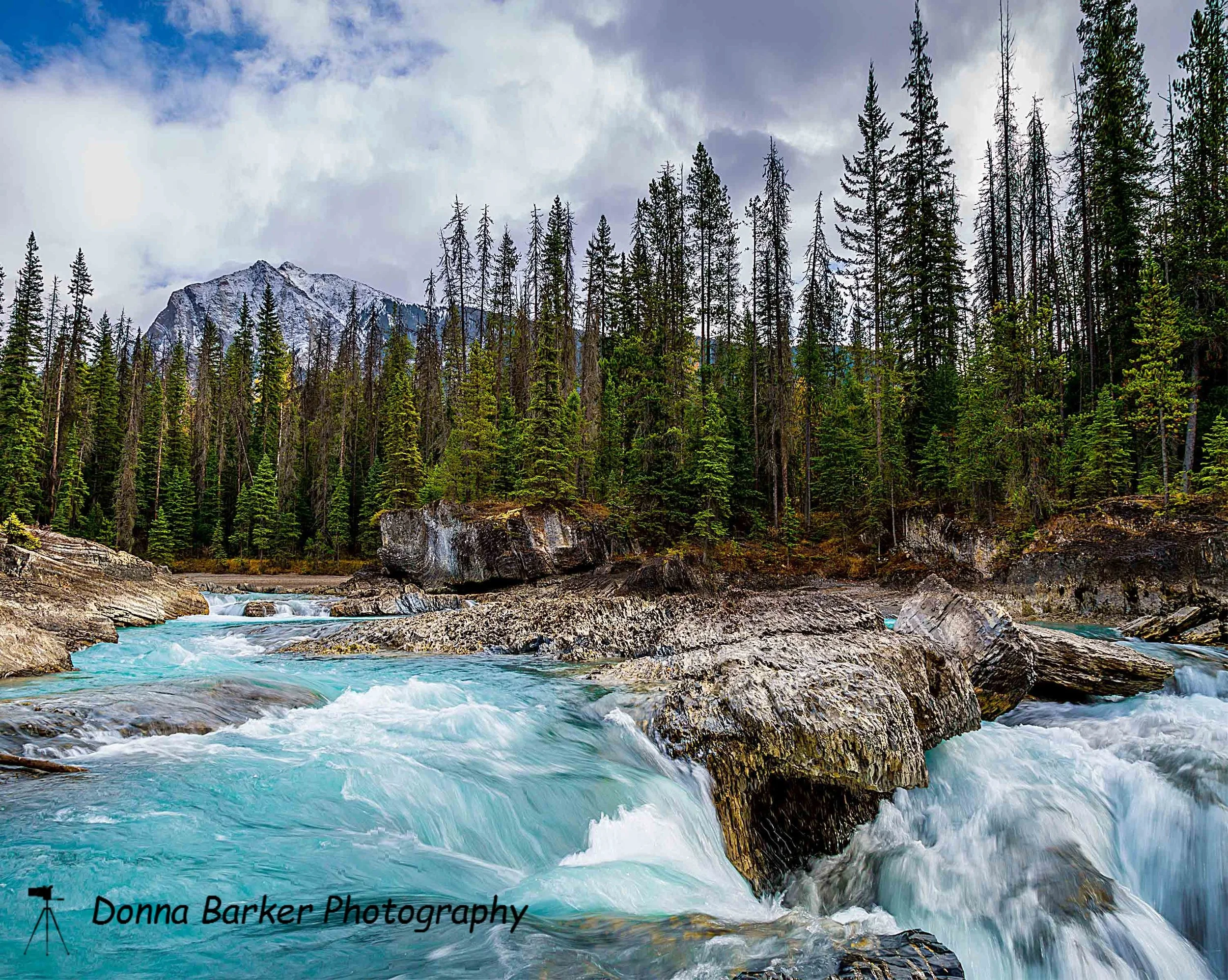 natural bridge 2 1.jpg