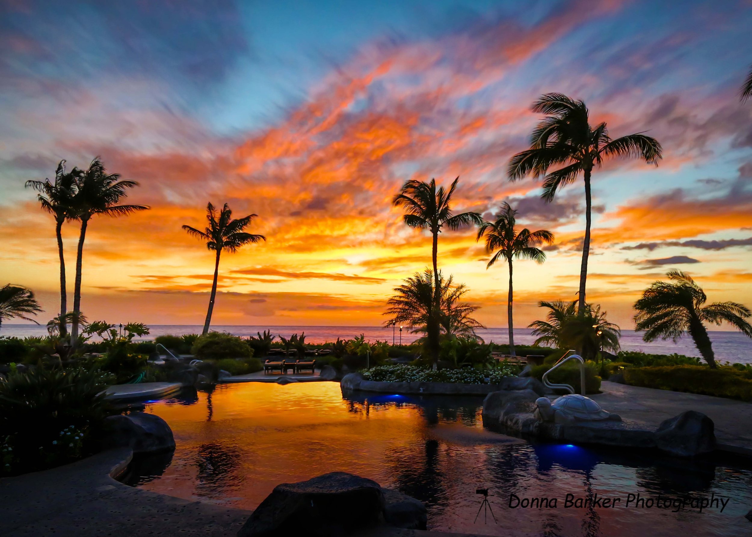 pool sunset 3 lighter 1.jpg