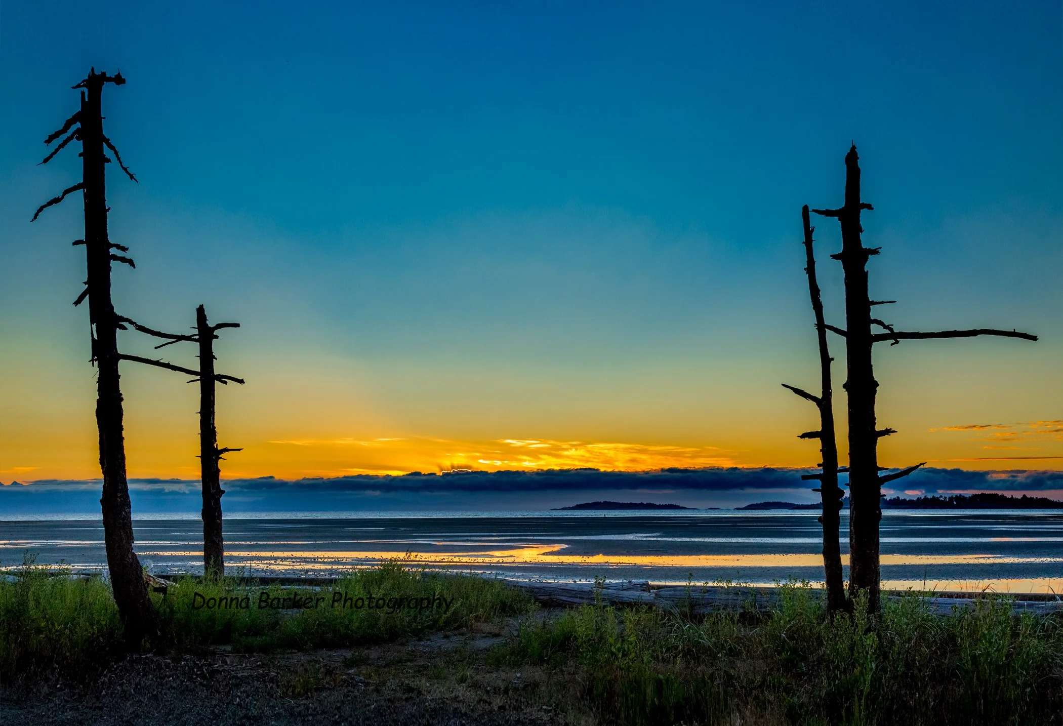 West Coast Sunrise lighter 1.jpg