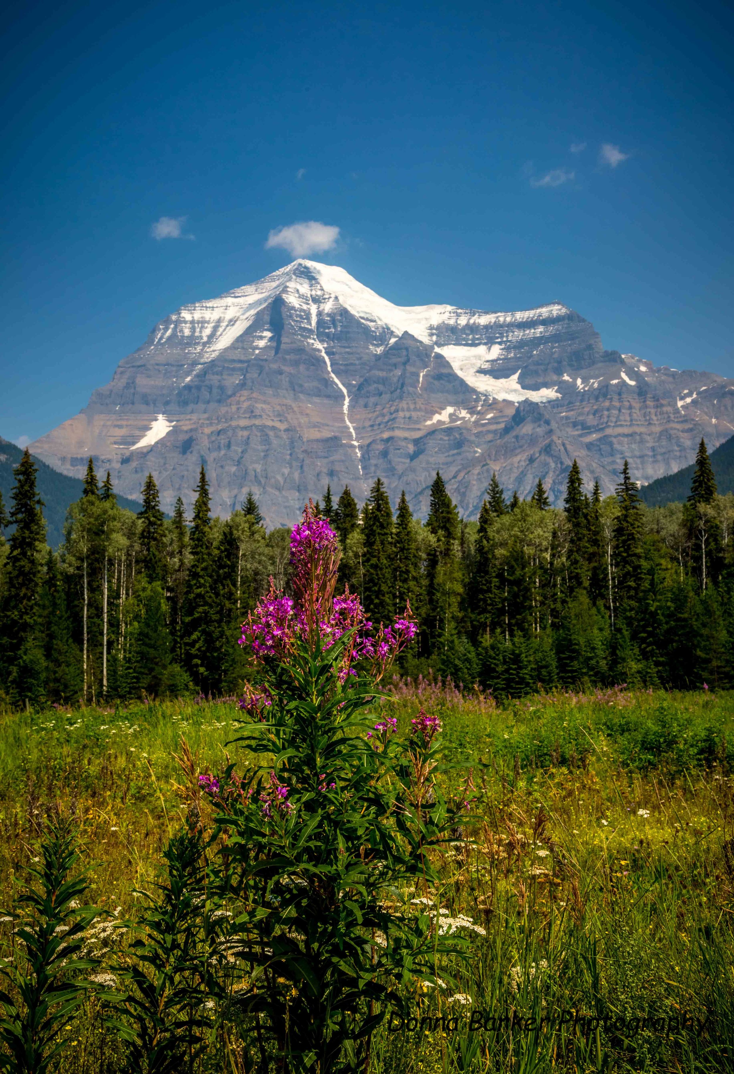 Mount Robson1.jpg