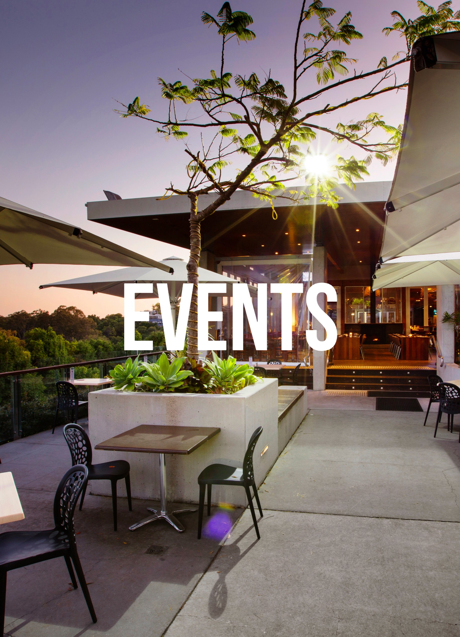 BUDERIM_7566 (1).jpg