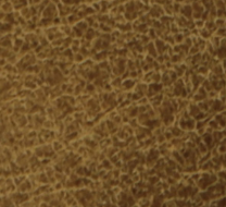 586-3352(b).png