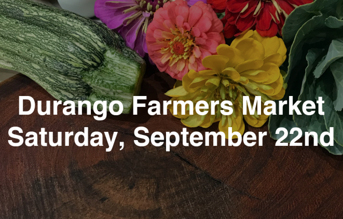 Durango Farmers Market Shop Chat and Doodle!