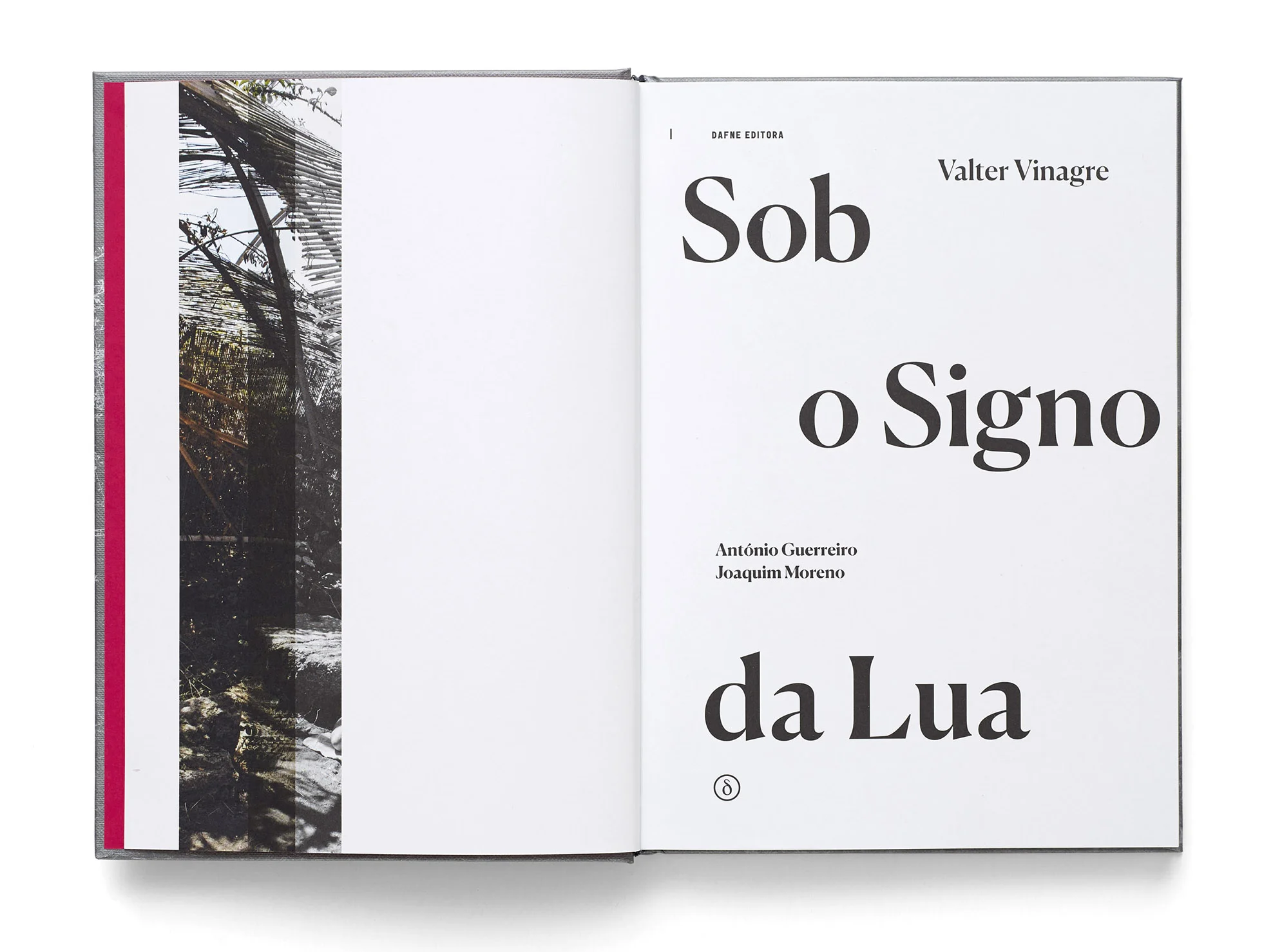 Sob-o-Signo-da-Lua_Squarespace_i02.jpg
