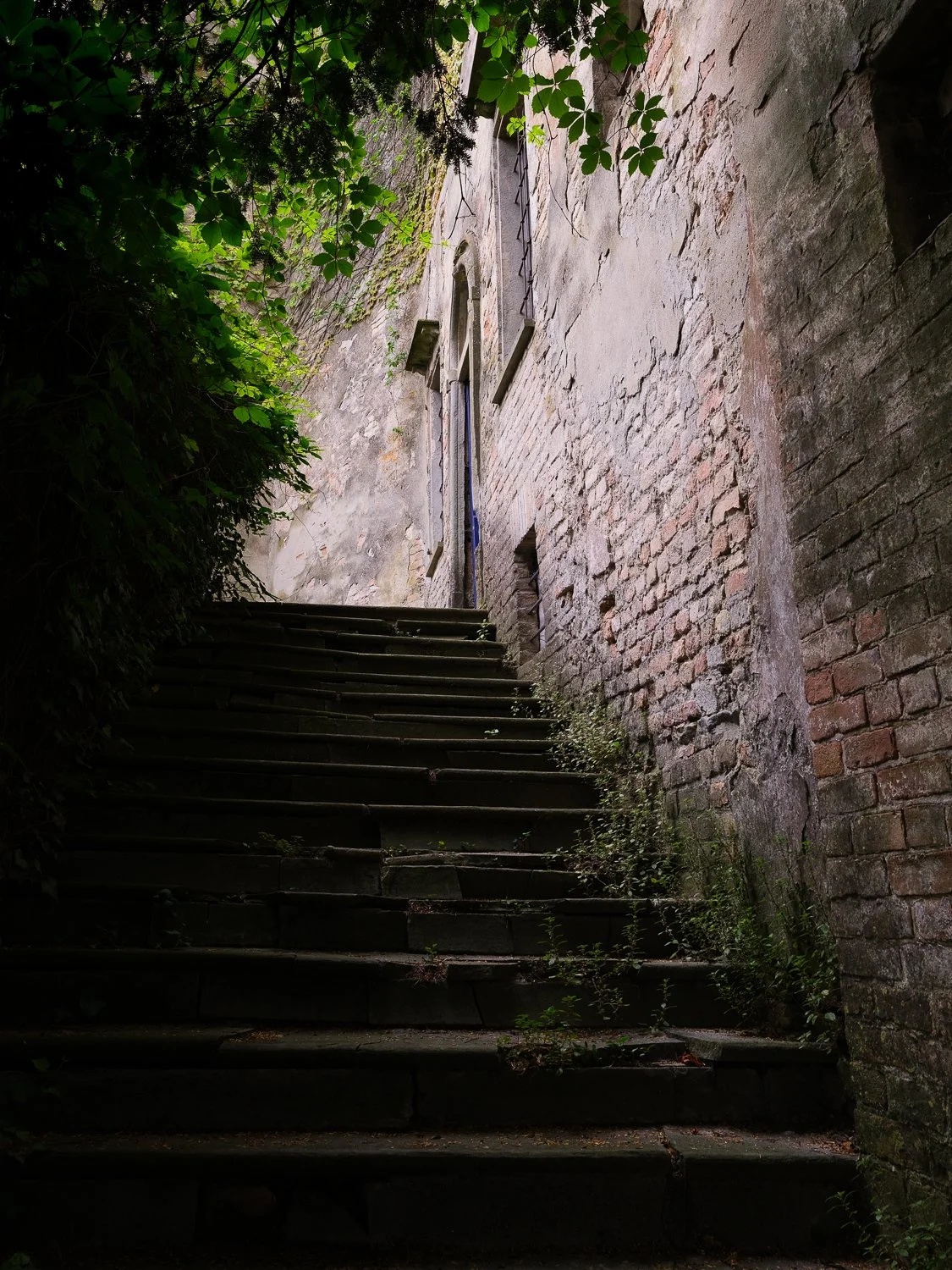 d3  Treppe.jpg