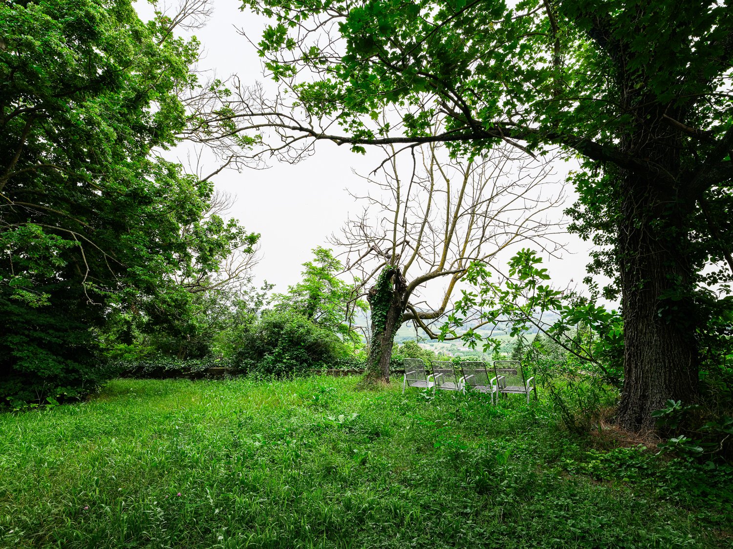q2  CB Garten mit Baum.jpg