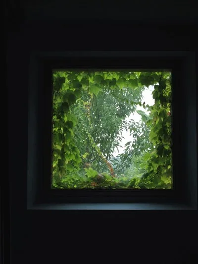  foto © fritz hauser 