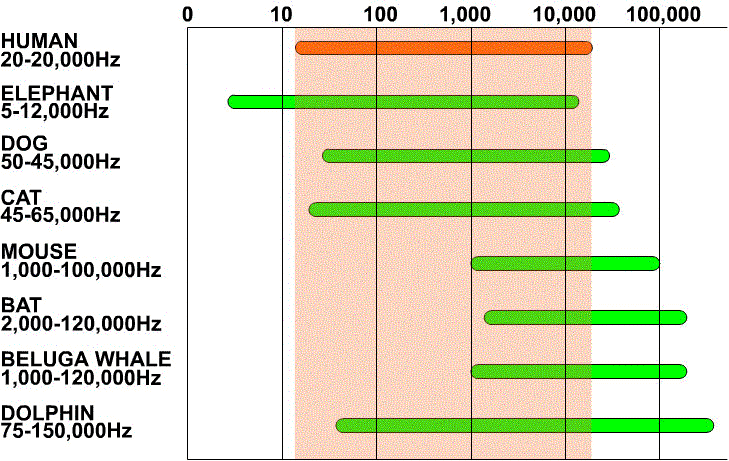 Spectral Analysis Your Spectrum Of Frequencies Sorama