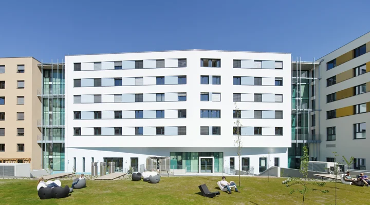 greenhouse_aussen_hinten.jpg