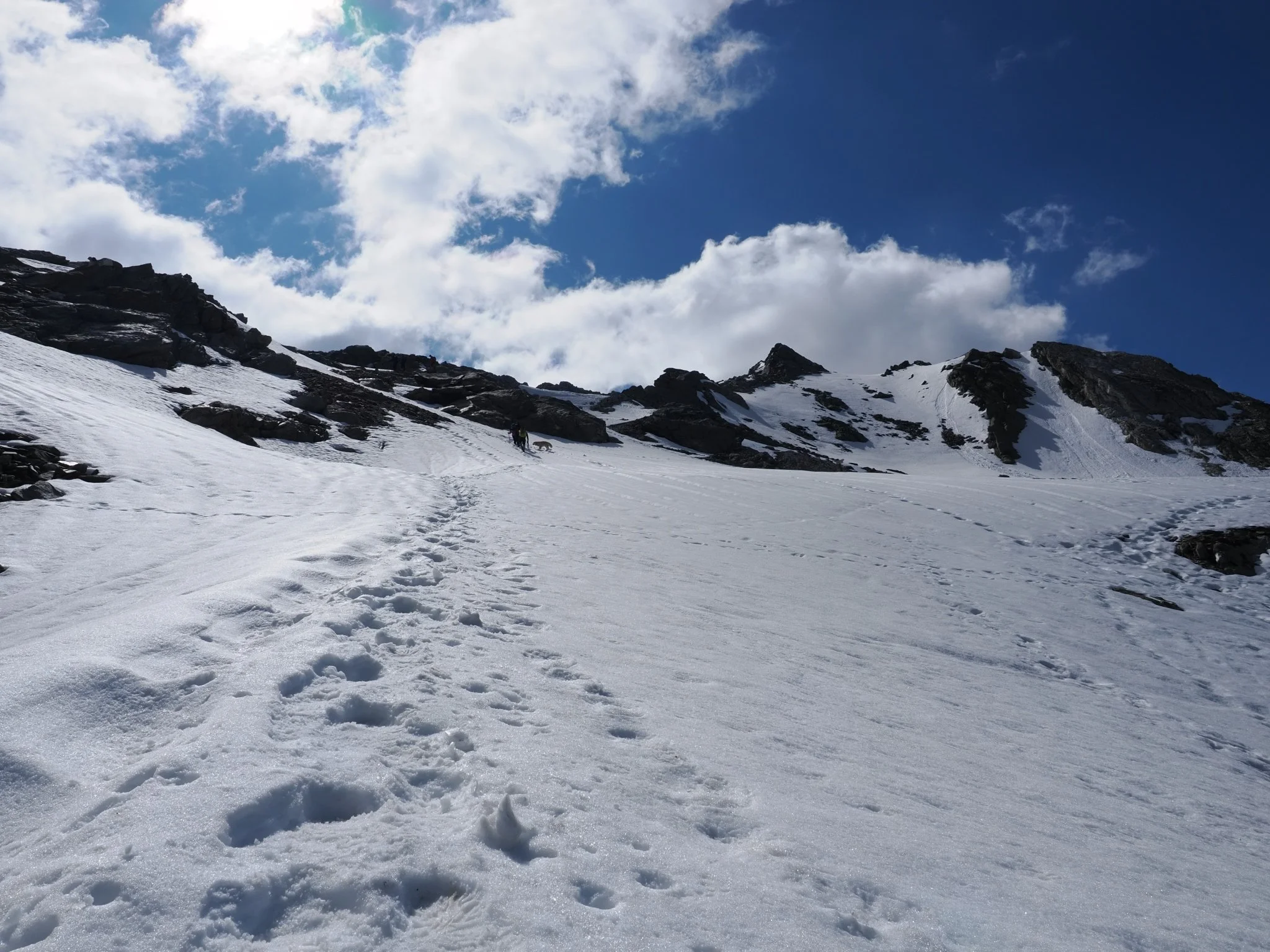 Führen als Scrum Master