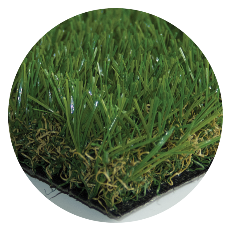Tanner's Eco Grass.png