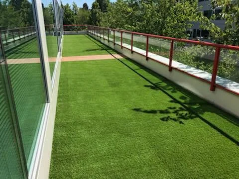 Grass on roof installation.jpg