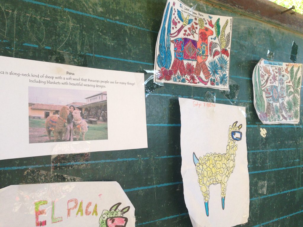 Looking at traditional Peruvian textiles, Agsilab Elementary School’s youngest students decorated some adorable alpacas with their own colorful renditions.
