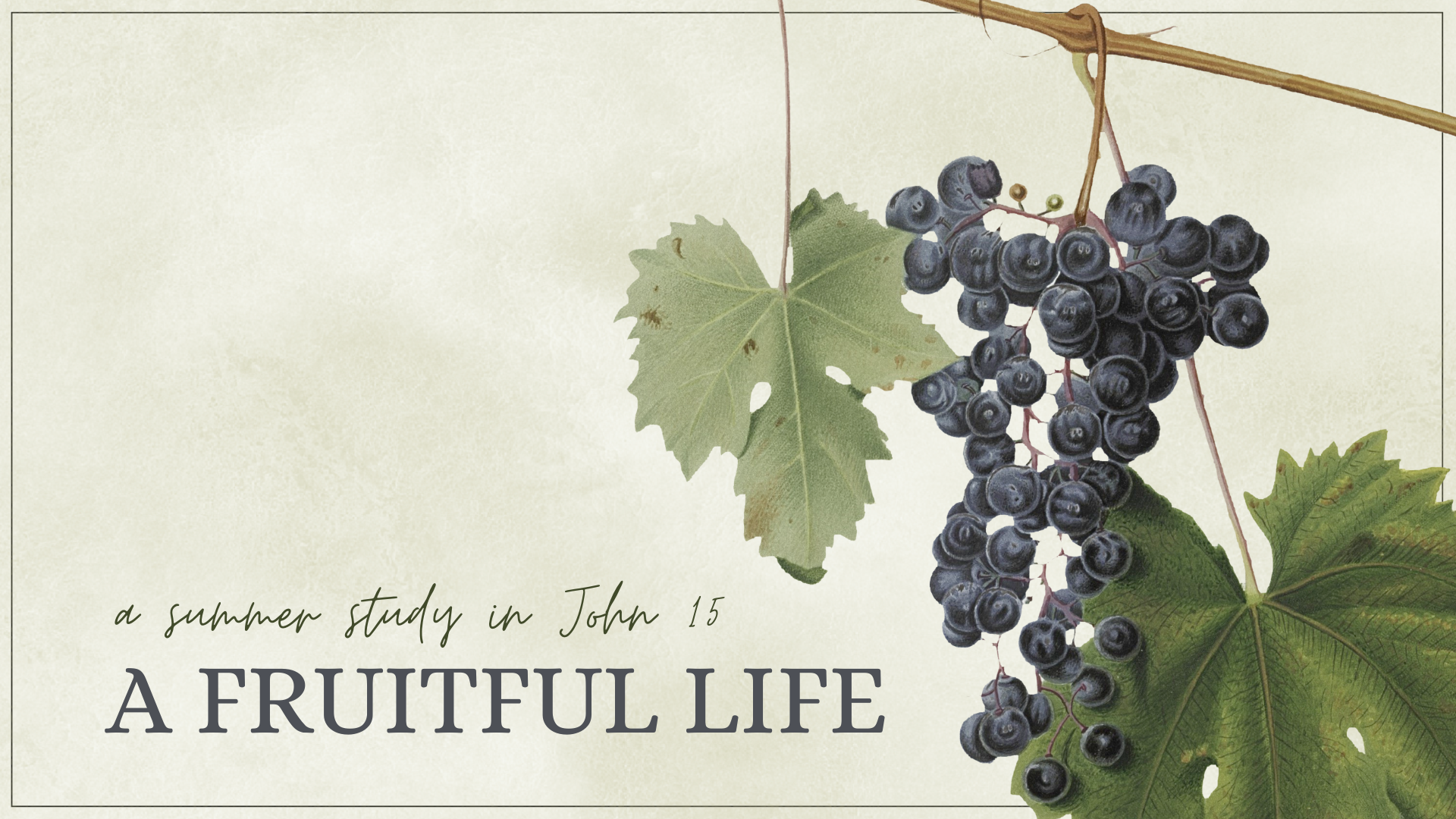 John 15 | A Fruitful Life