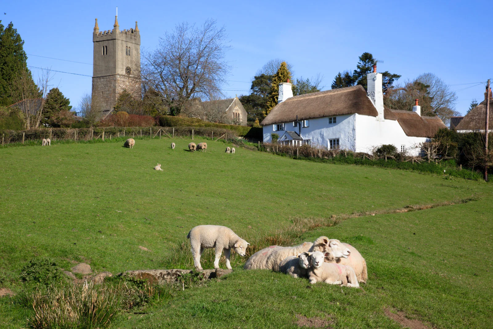 North Bovey
