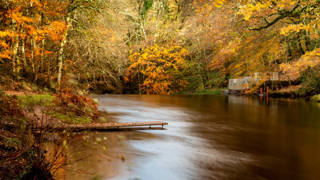 Fingle Gorge