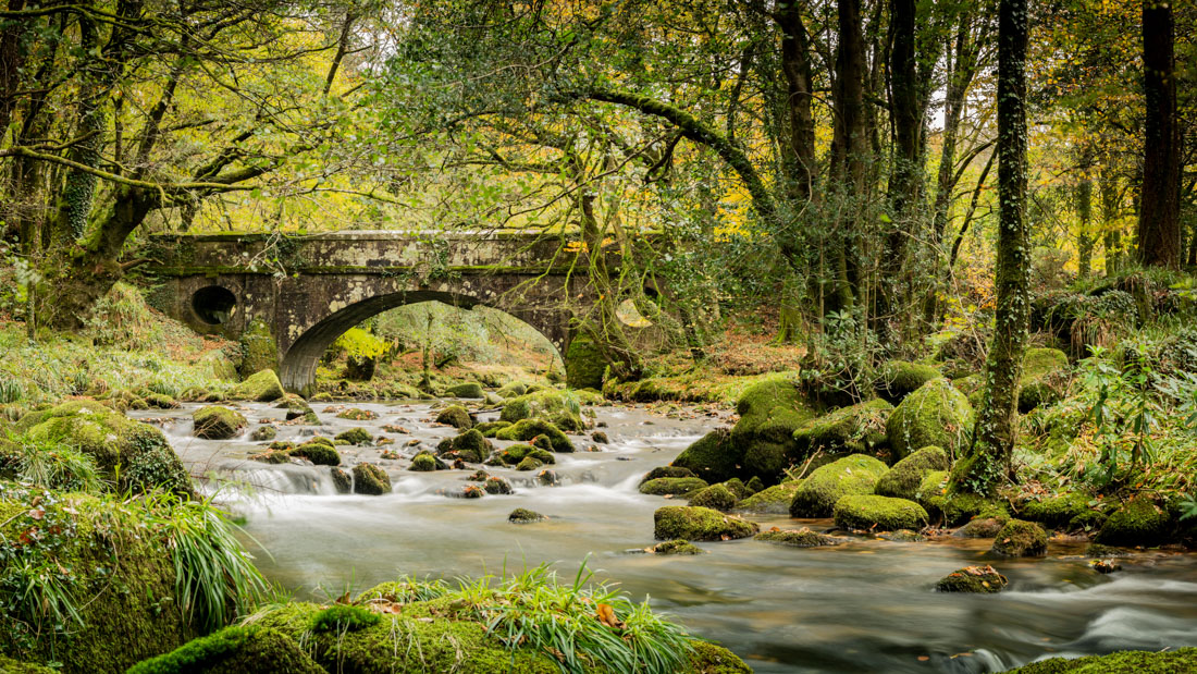 Fingle Gorge