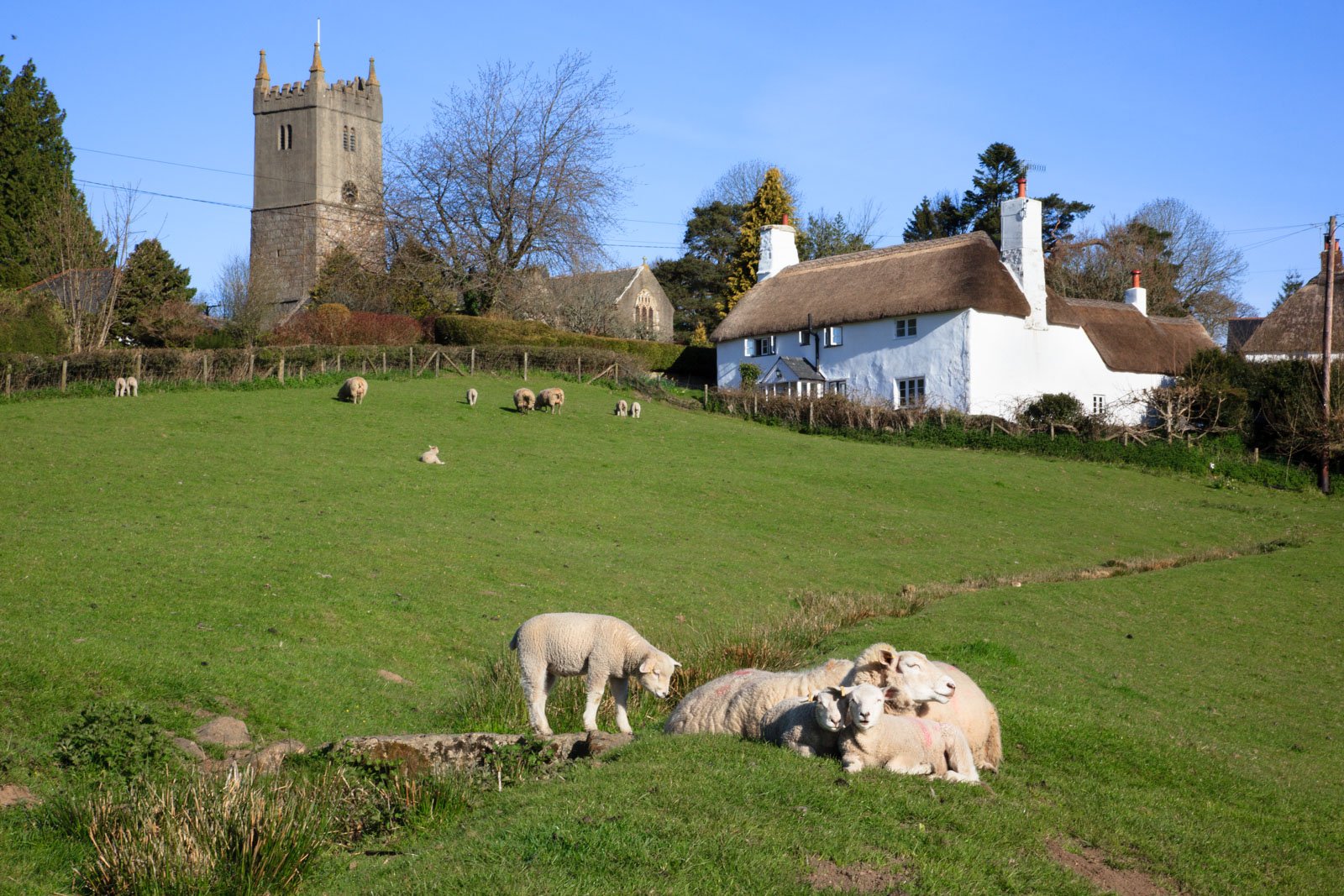 Romantic Short Breaks in Devon – Why Dartmoor Works So Well for 2–3 Nights