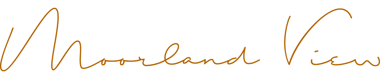 Moorland View Cottage, Devon