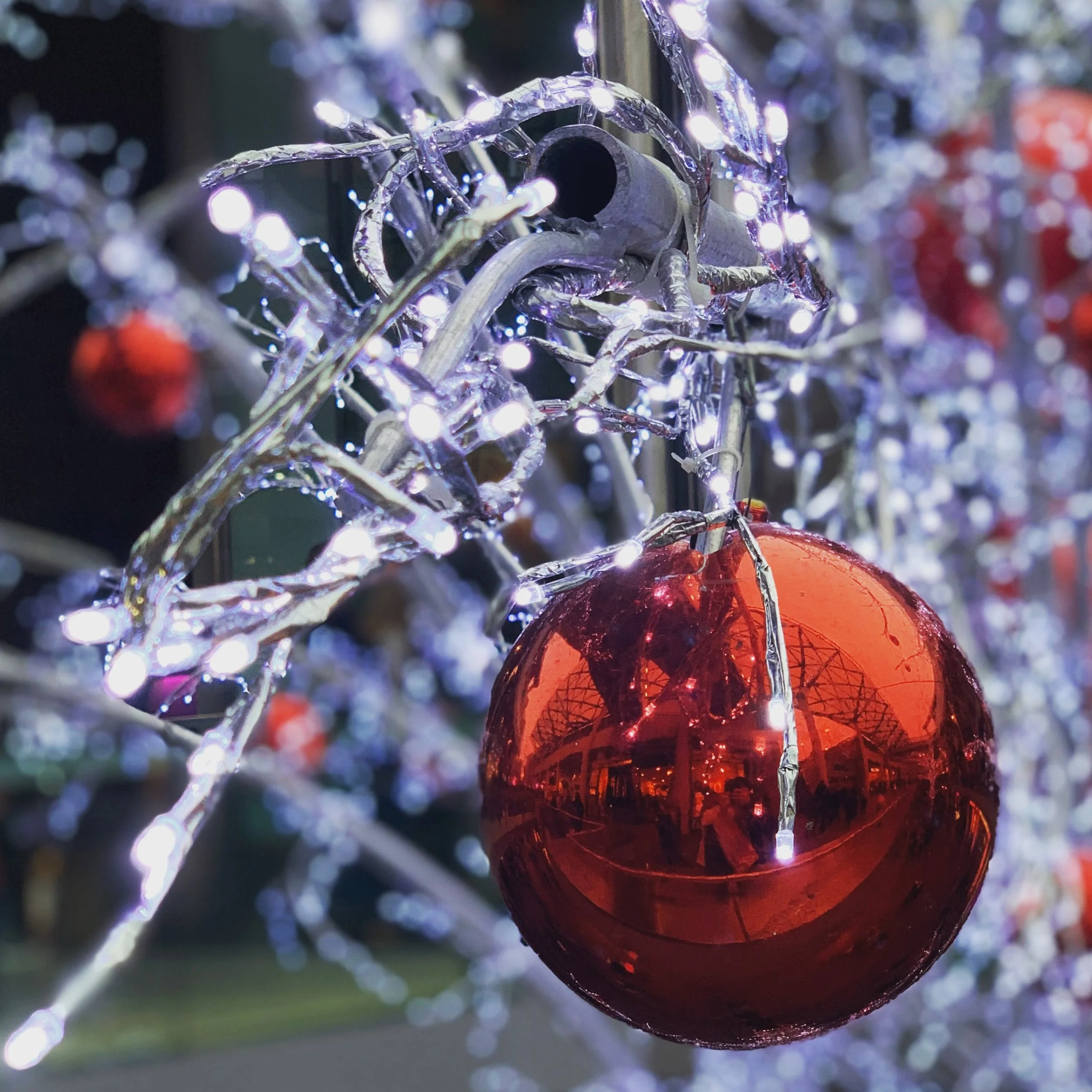 MY FESTIVE CLUB NIGHTS, SEASONS GREETINGS &amp; MORE