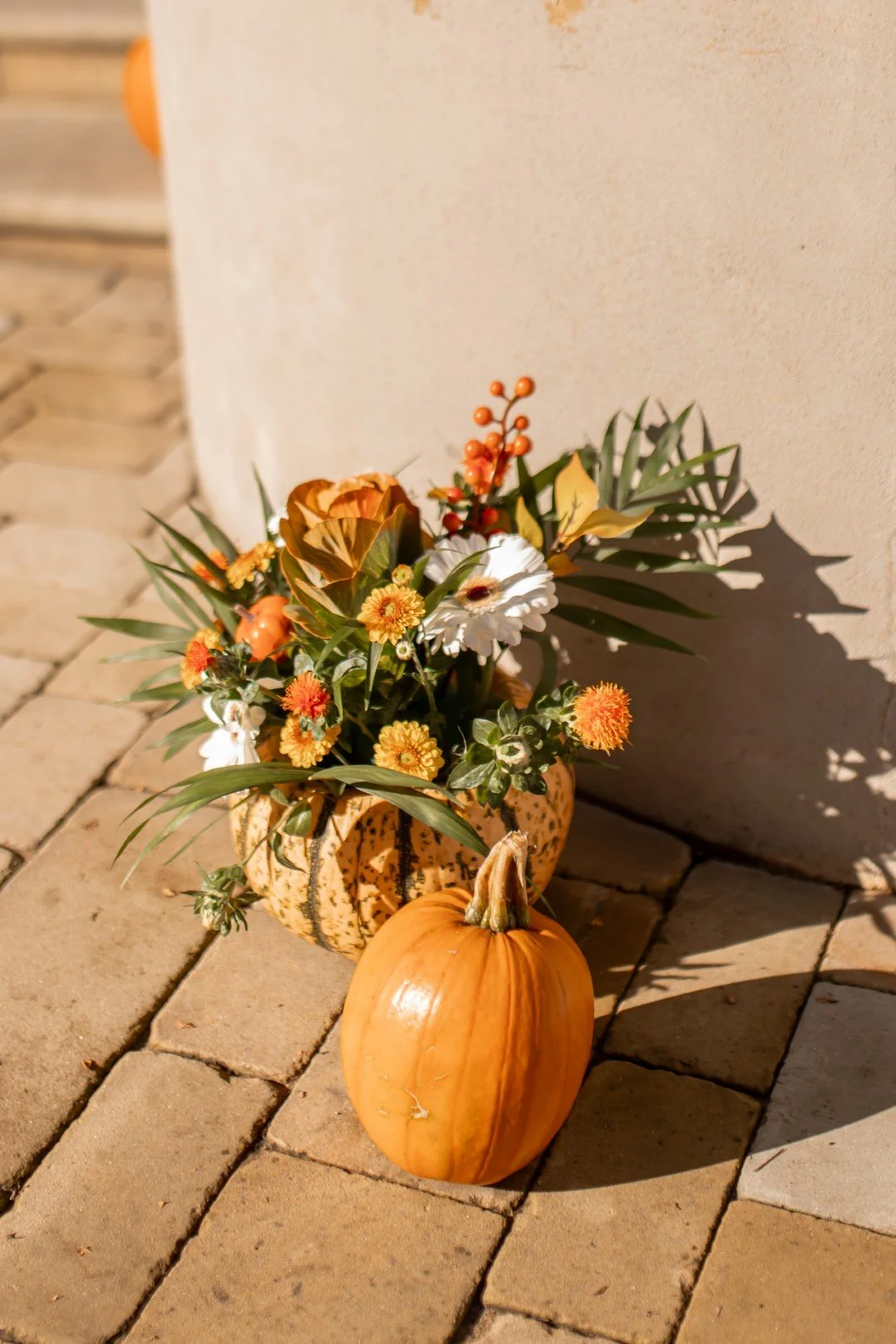 Rustic Charm or Modern Elegance? How to Choose Your Wedding Theme at The Vines of Rochester