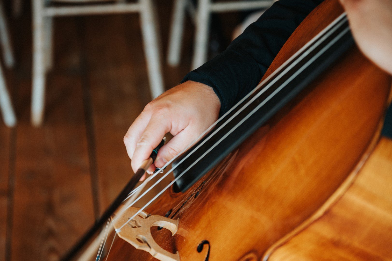 live-string-musican.jpg