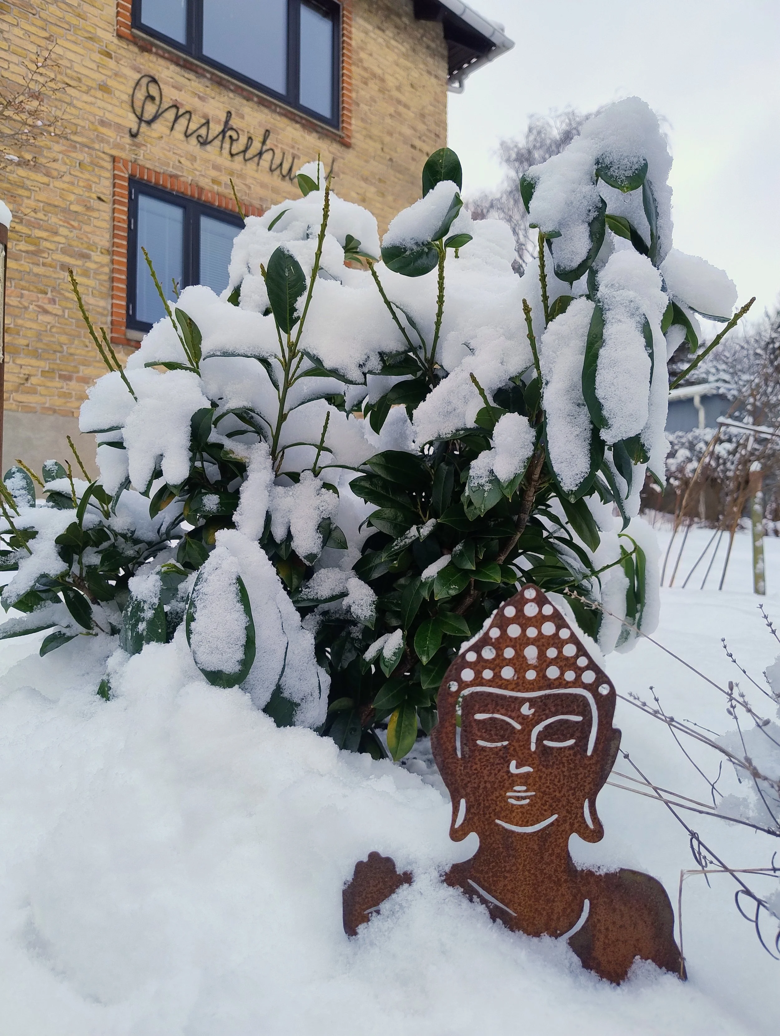 Jule Yin Yoga