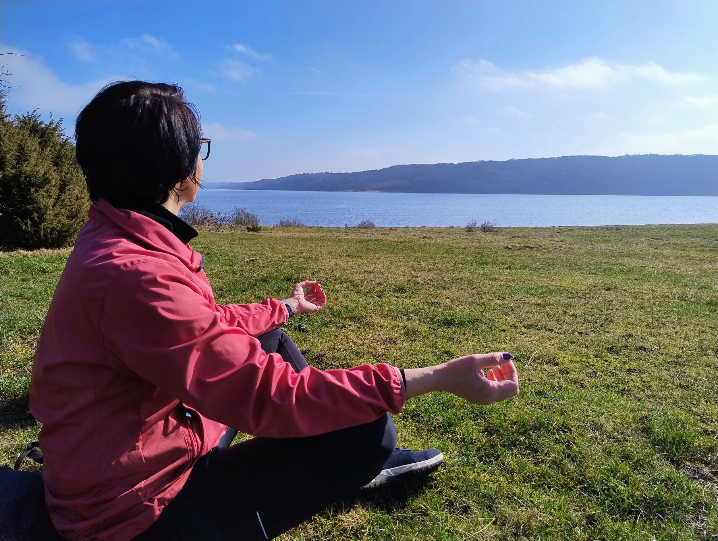 Panoramaruten