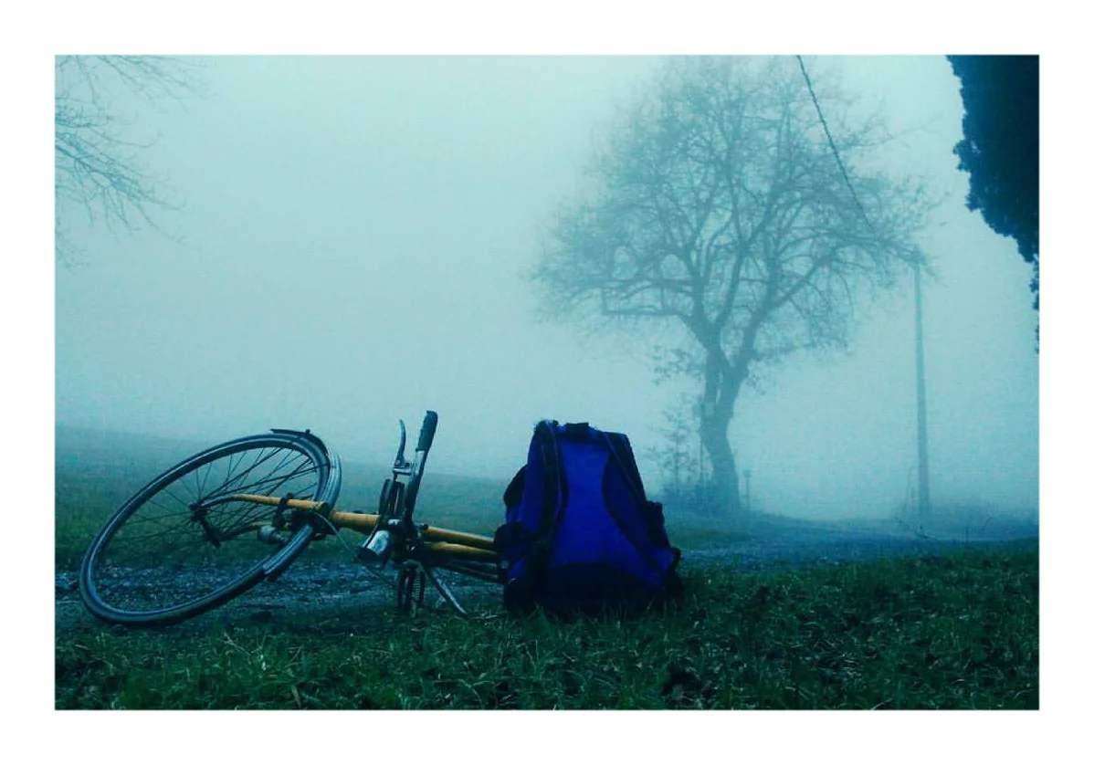   Roadside picnic  