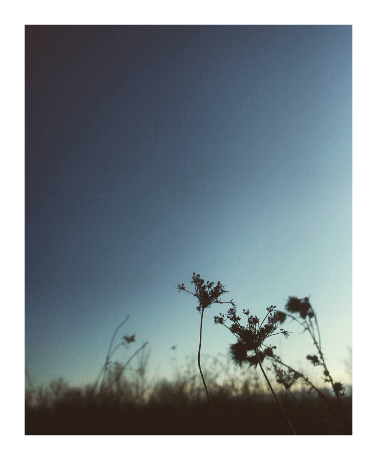   Awakening (II)  