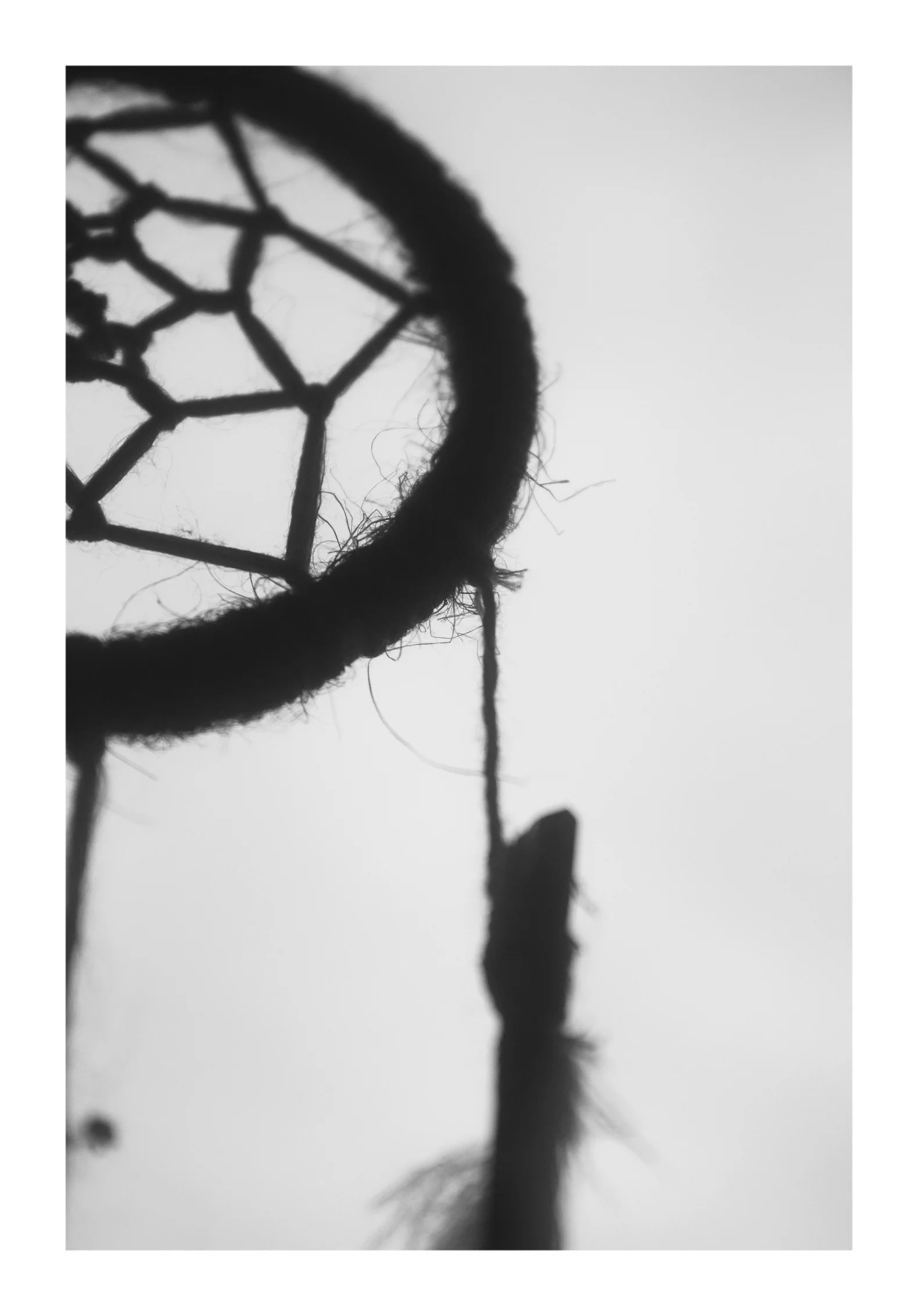   Dream  