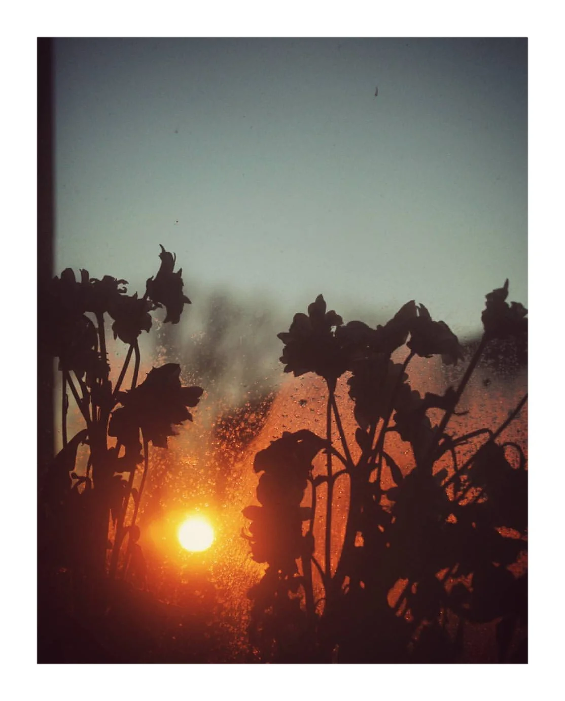   awakening  