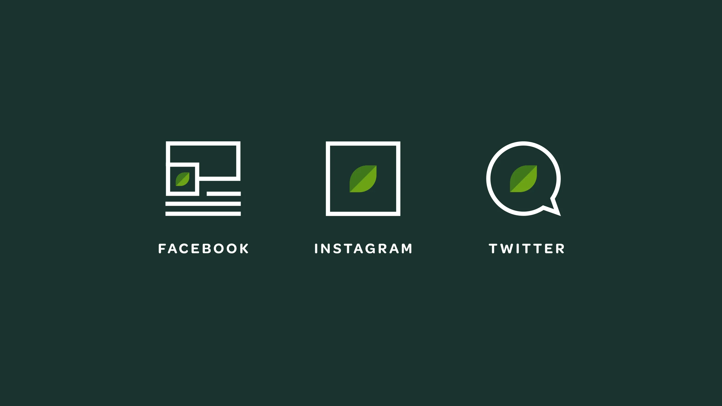 Verde Salad Restaurant Social Media Icons