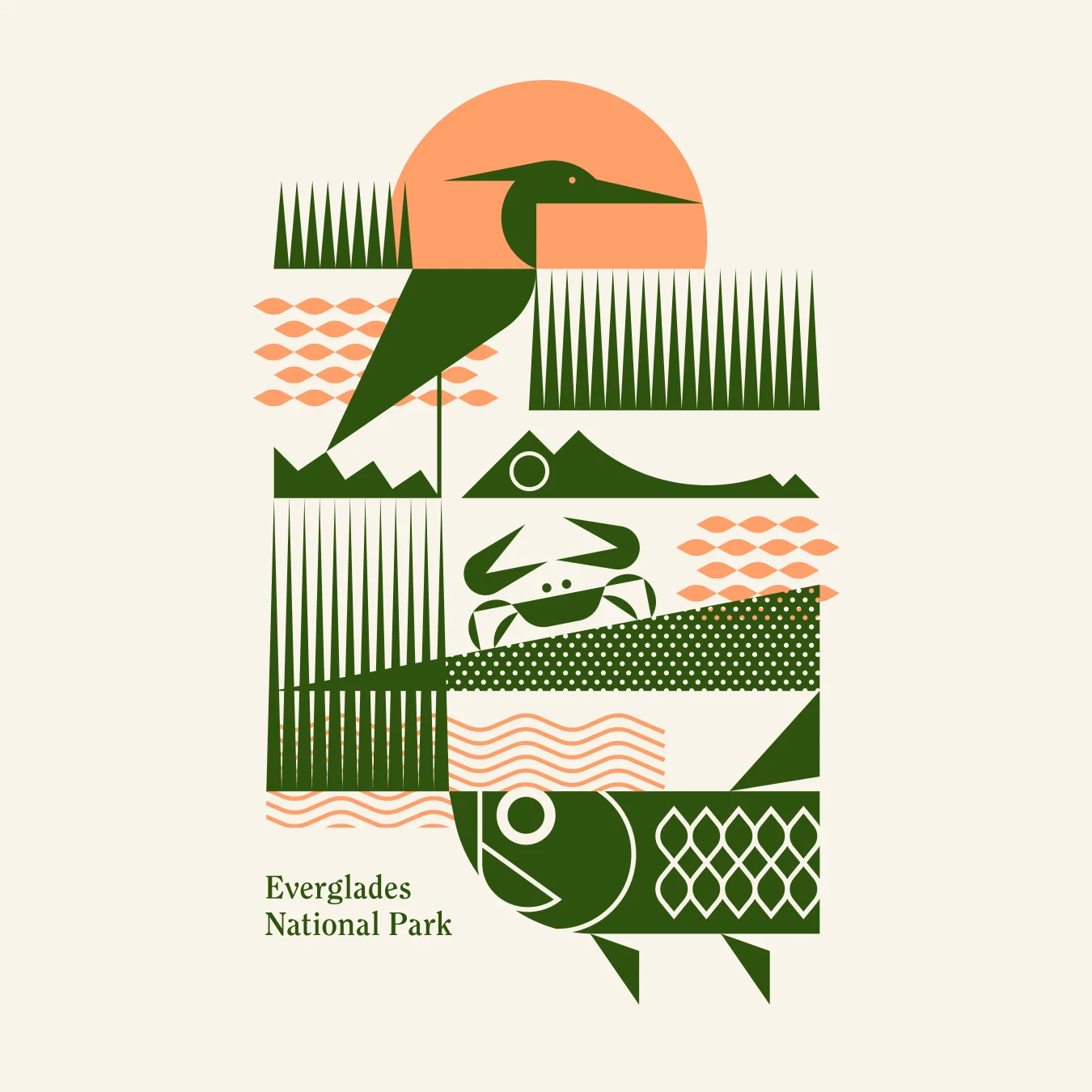 Everglades National Park Alligator and Tarpon Illustration