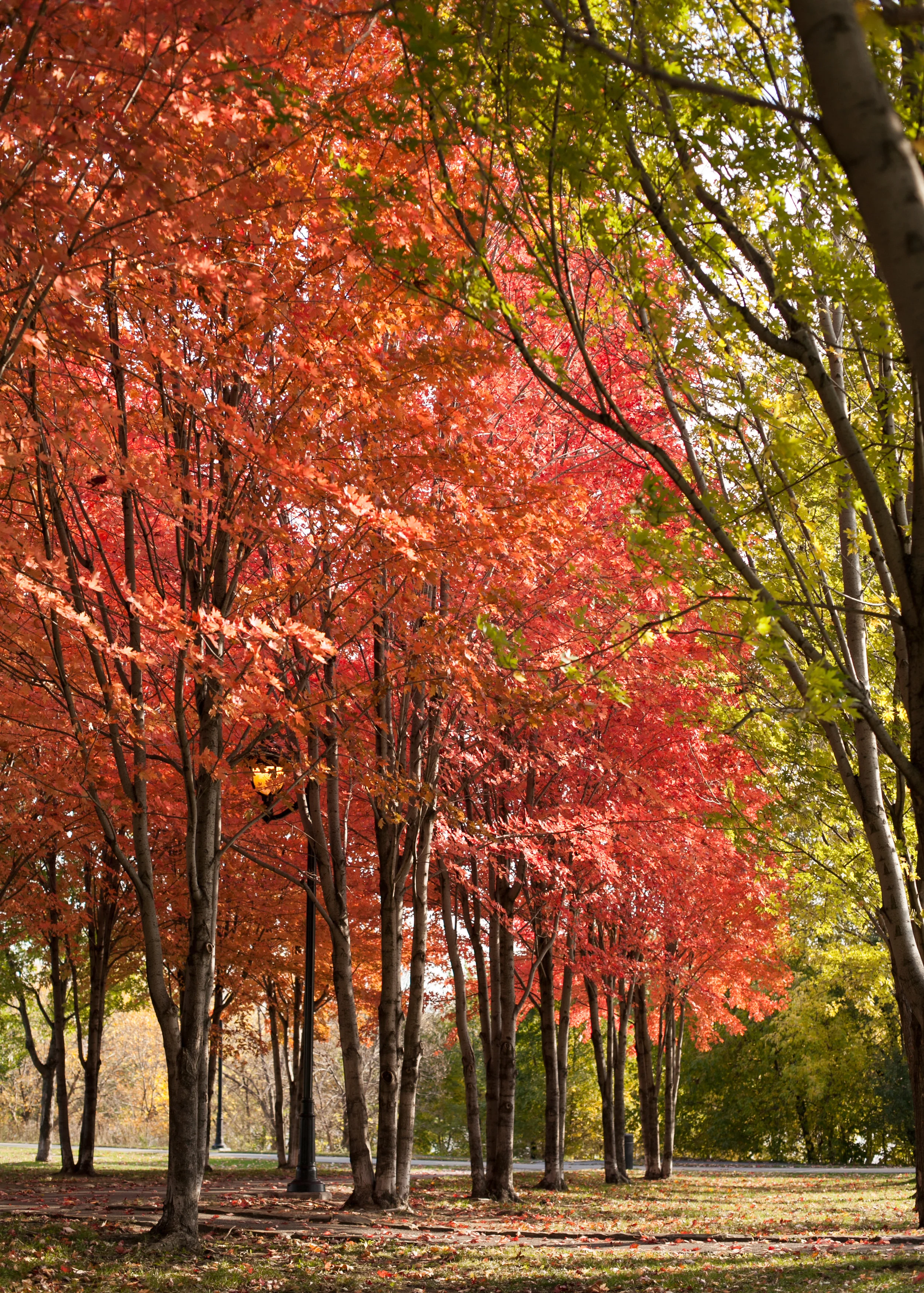 Verdun area, close to Saint-Laurent river in Montreal