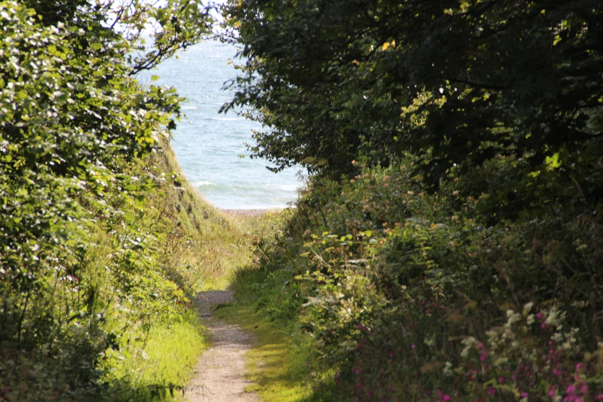 Magical walk to Physgill beach