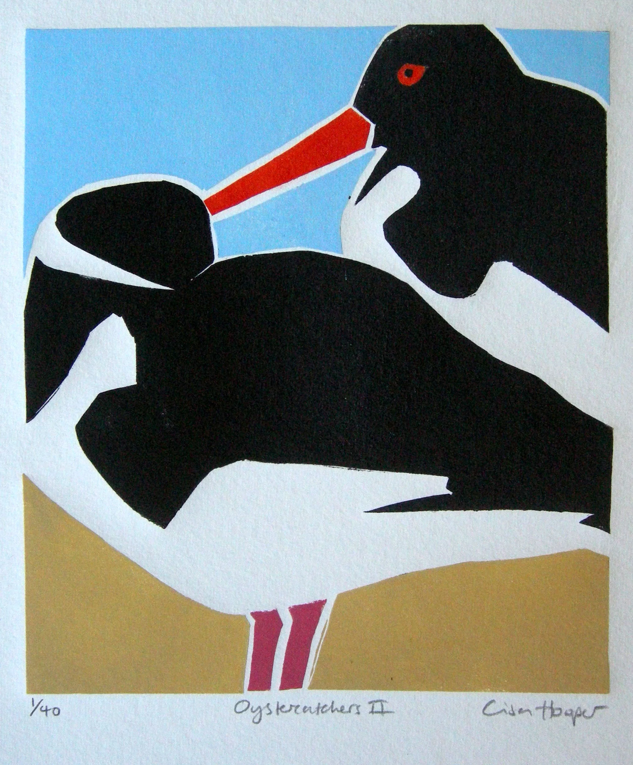 glorious galloway oystercatchers by lisa hooper an artist in port william.jpg