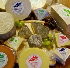 galloway farmhouse cheese.jpg