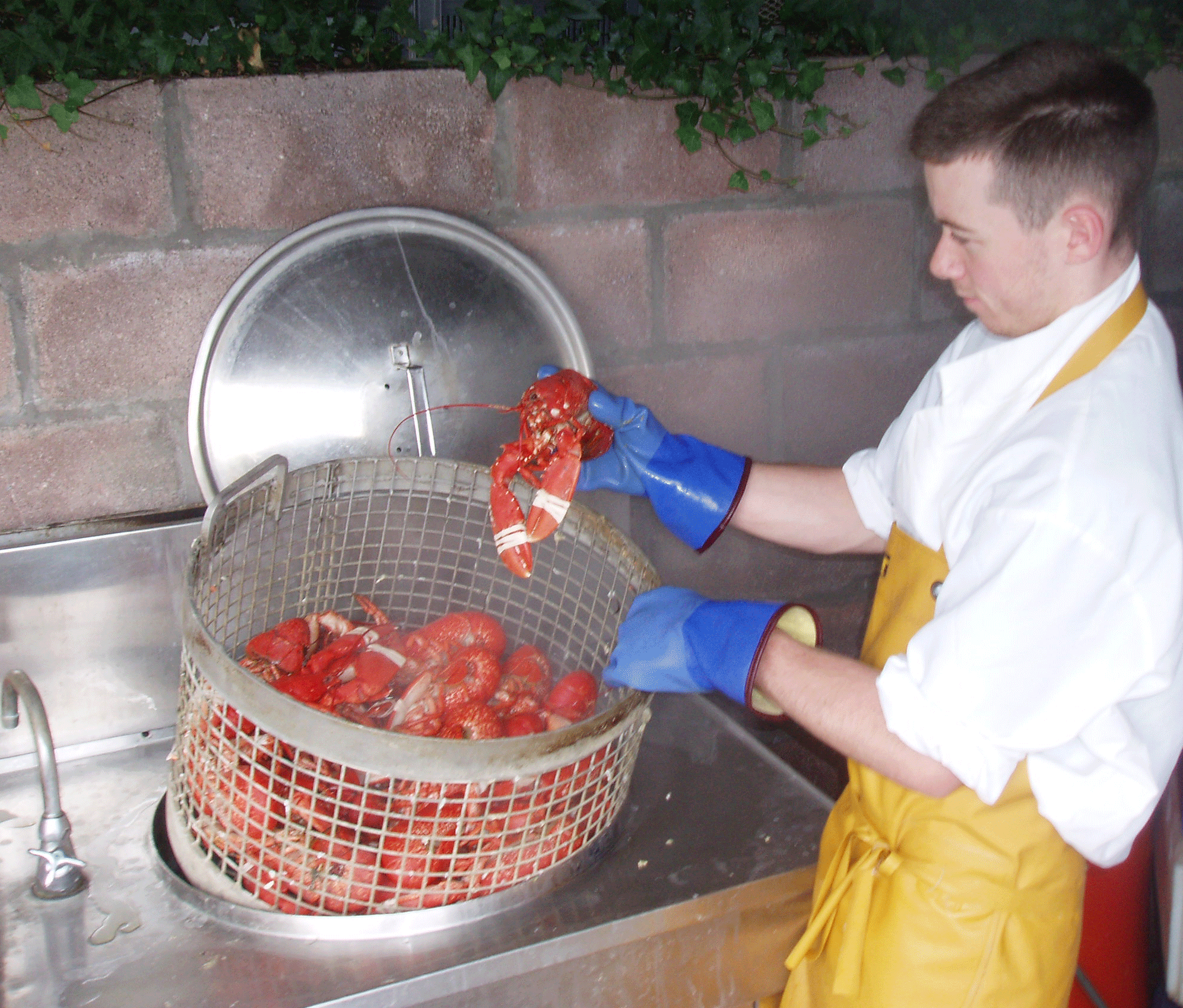 galloway fisherman.gif