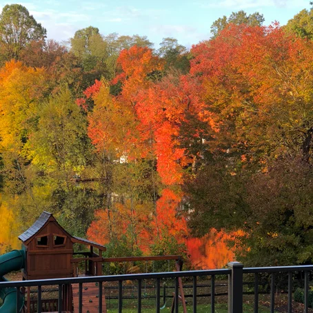 Fall-Folliage.jpg