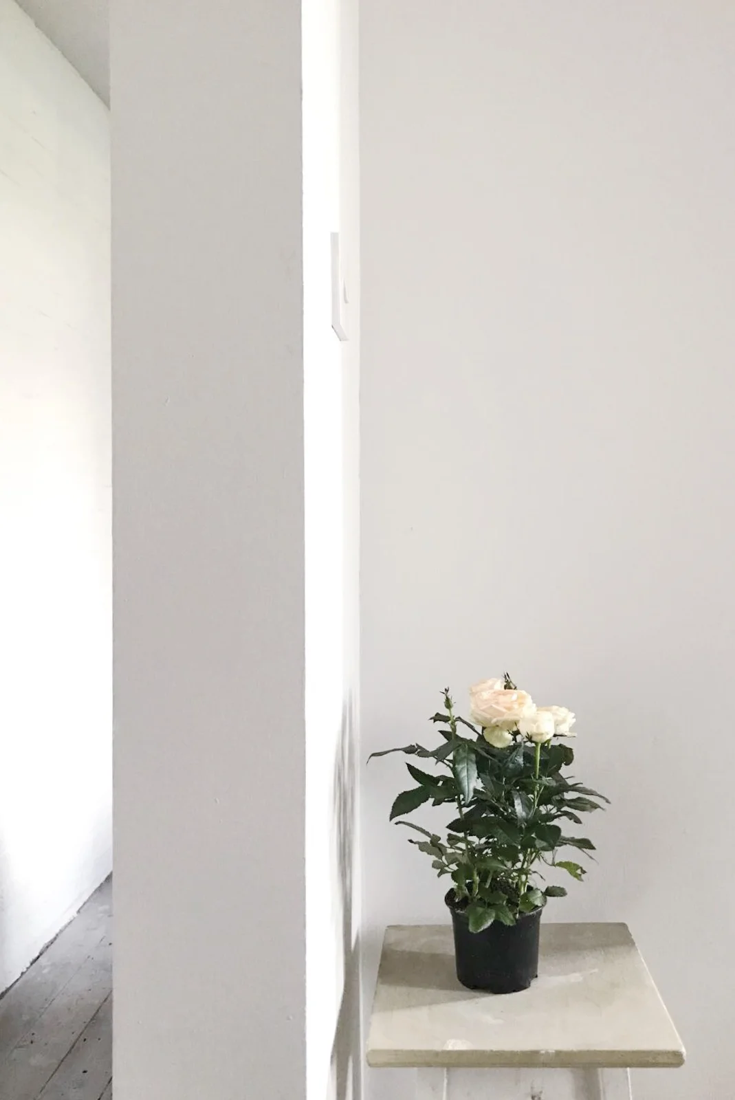 Corner detail