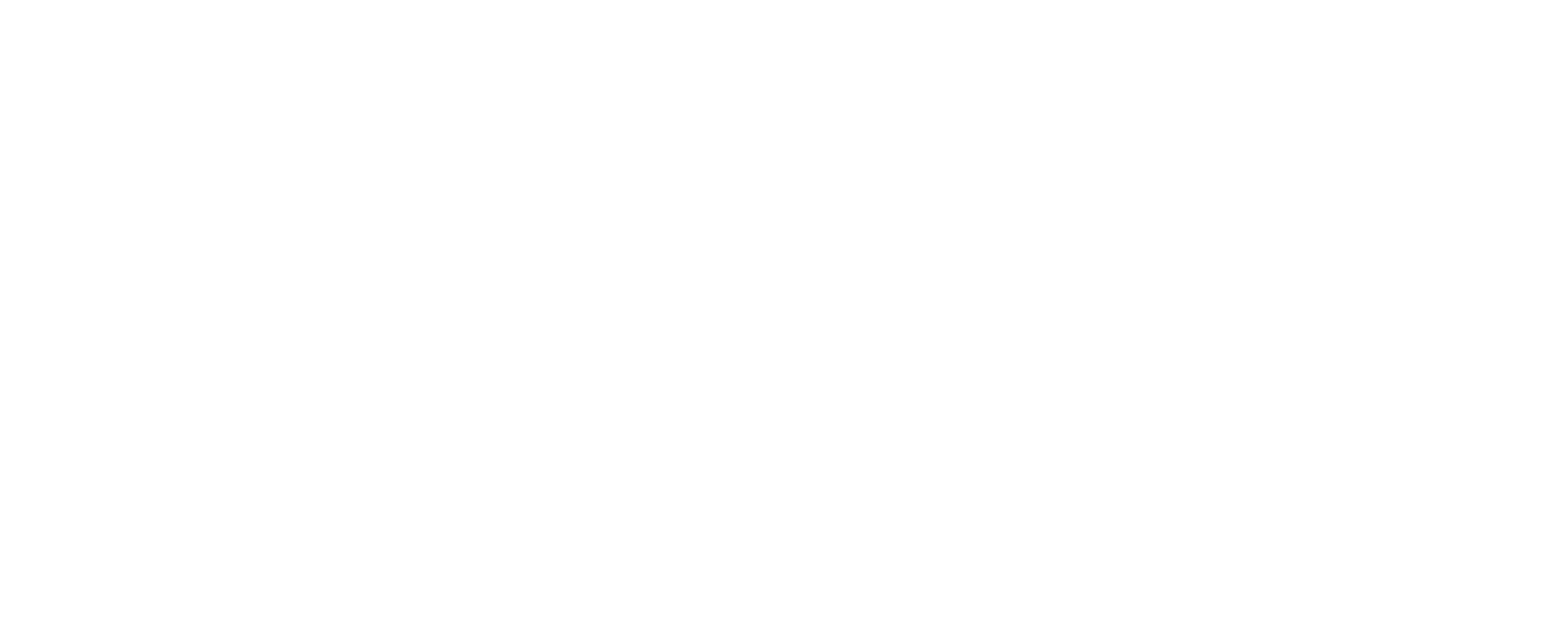 DT_logo_Whiteout.png