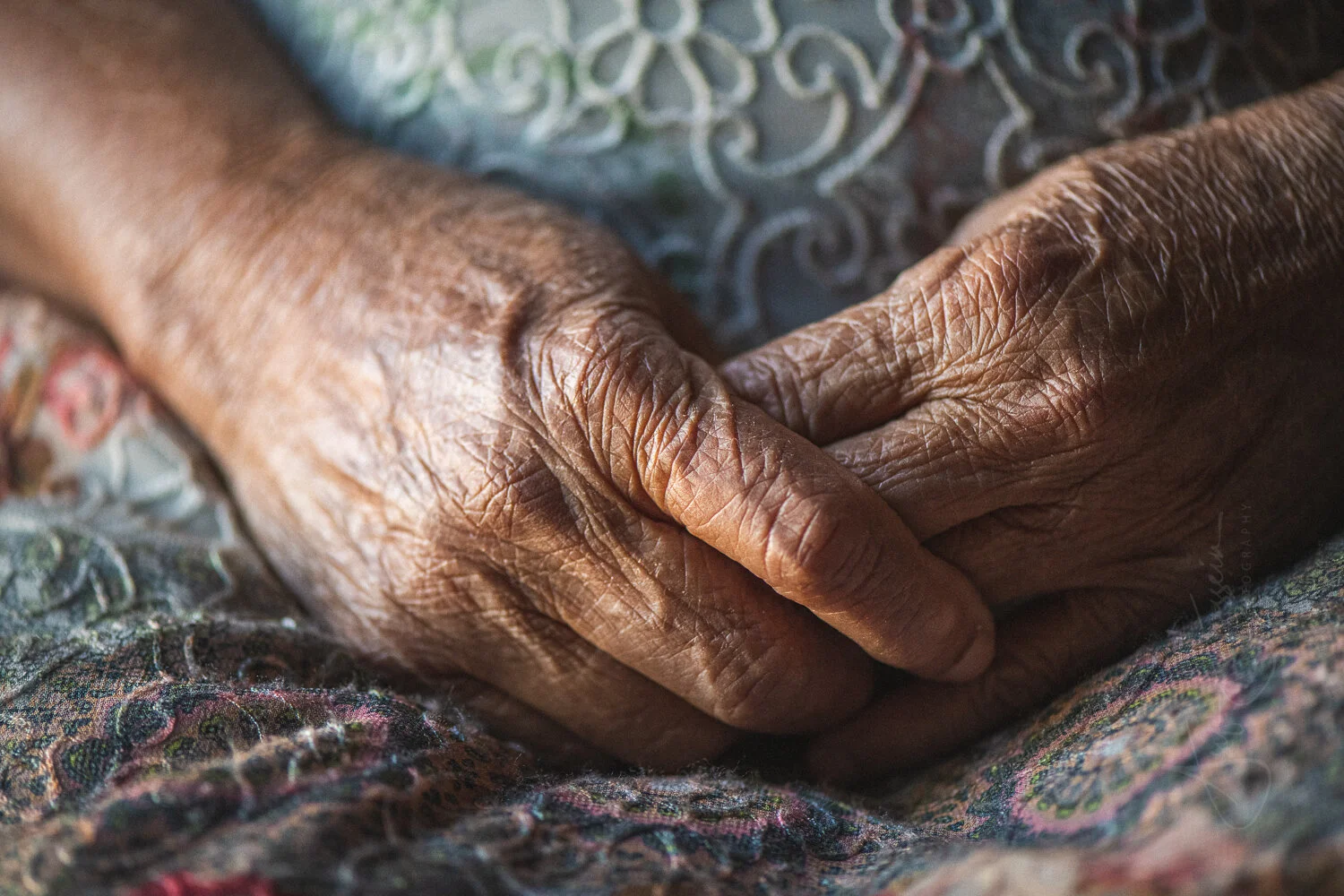 Ammi Documentary-7.jpeg